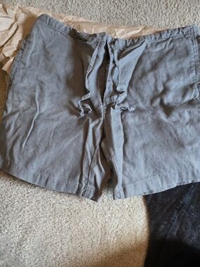 Men's Banana Republic        Gray Drawstring Casual Shorts